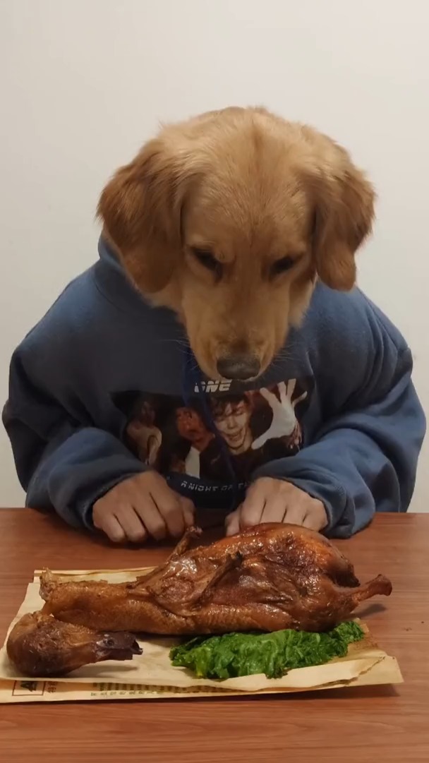 狗头先生今天终于吃到肉了!