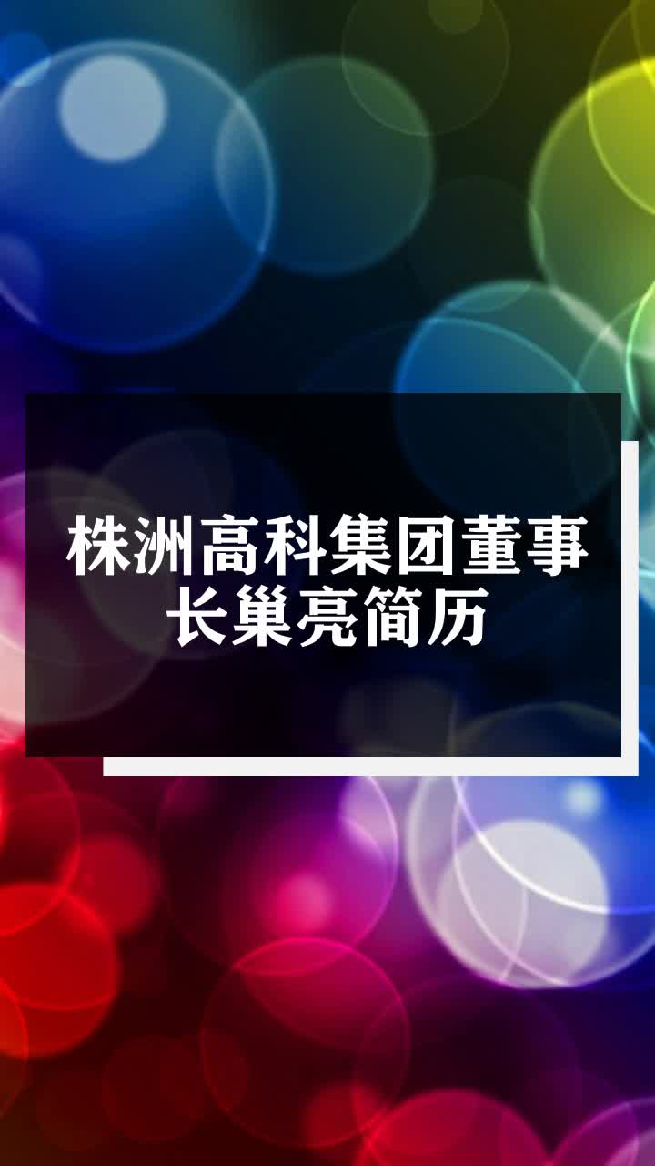 株洲高科集团董事长巢亮简历