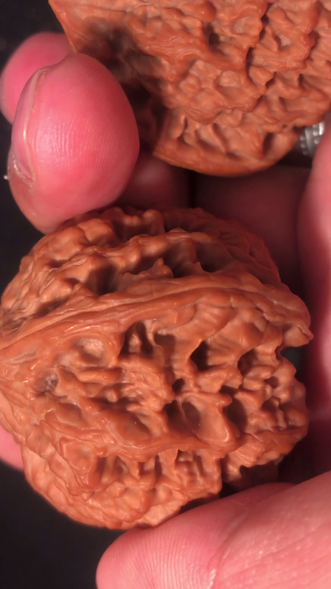 文玩核桃#蜡质红皮小野货!把玩后期玛瑙红