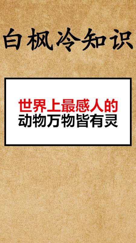 我要上热门#世界上最感人的动物万物皆有灵