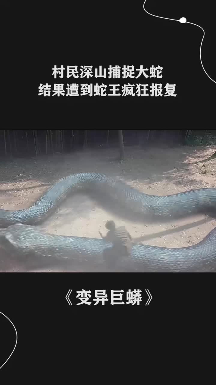 村民深山捕捉大蛇结果遭到蛇王疯狂报复