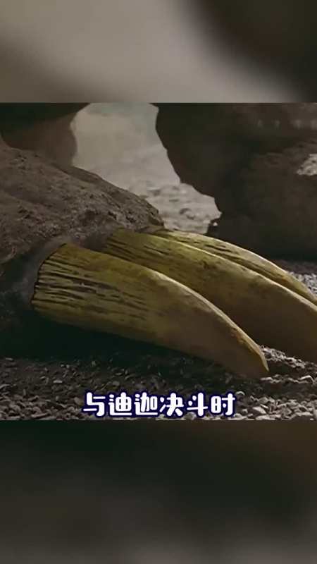 断角狂魔名字的由来?为什么迪迦进入不了光之国