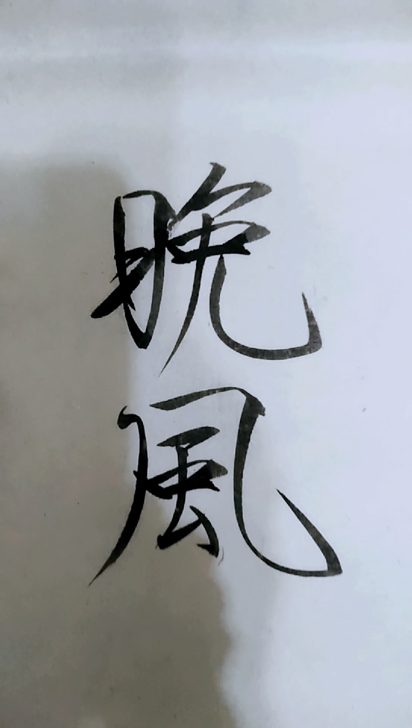 大瘦金小皇帝