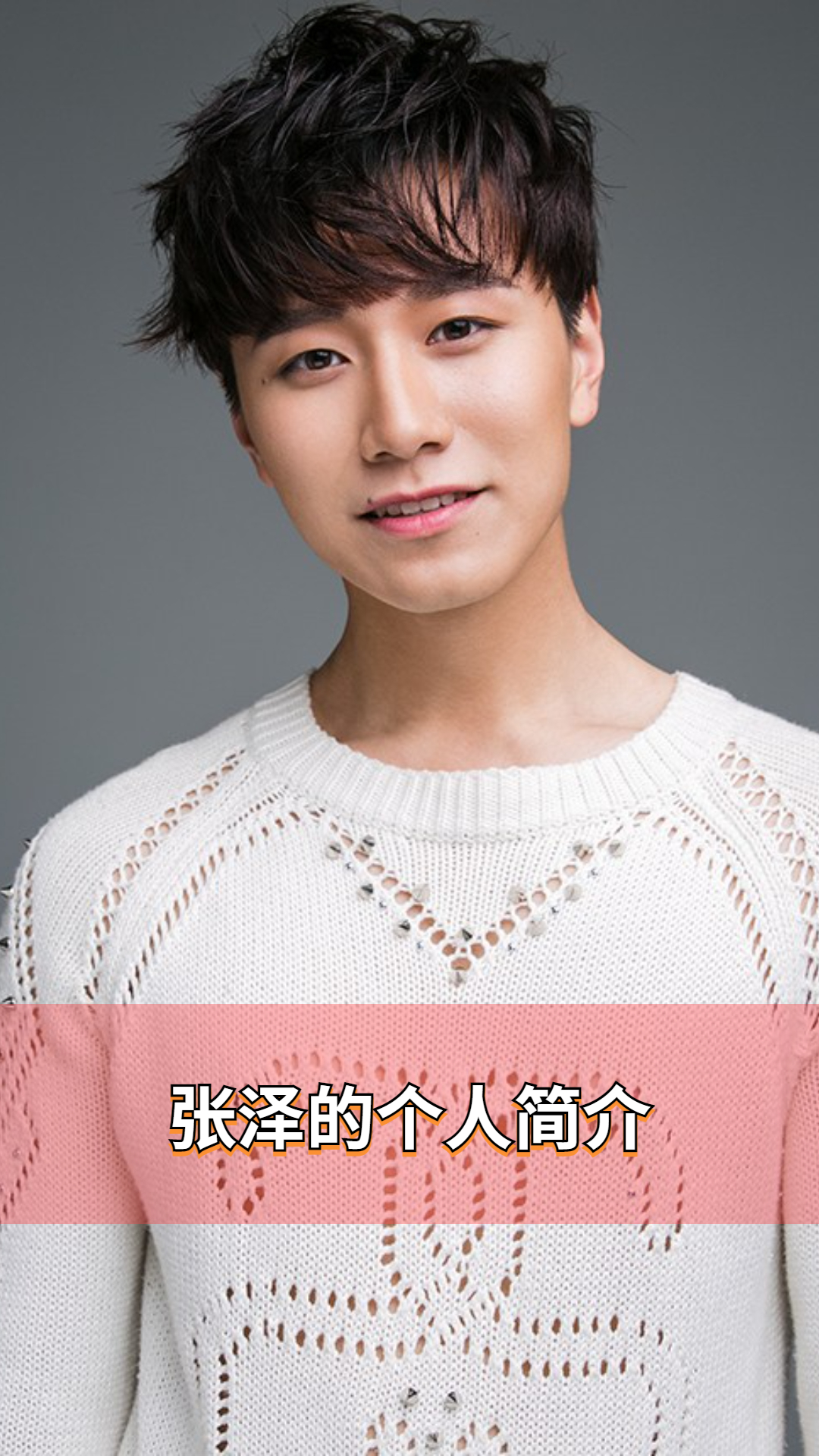 张泽的个人简介