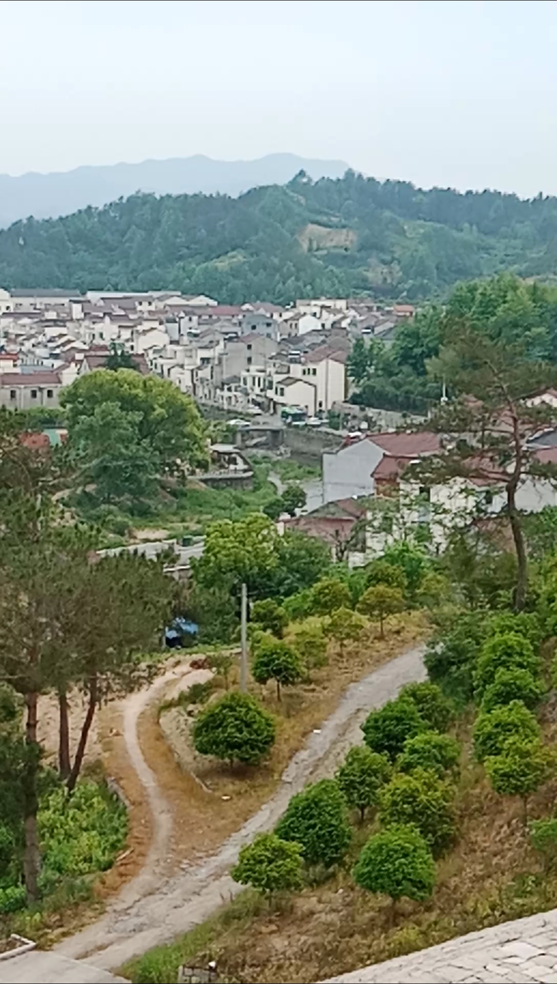 上东水库堤坝看风景.