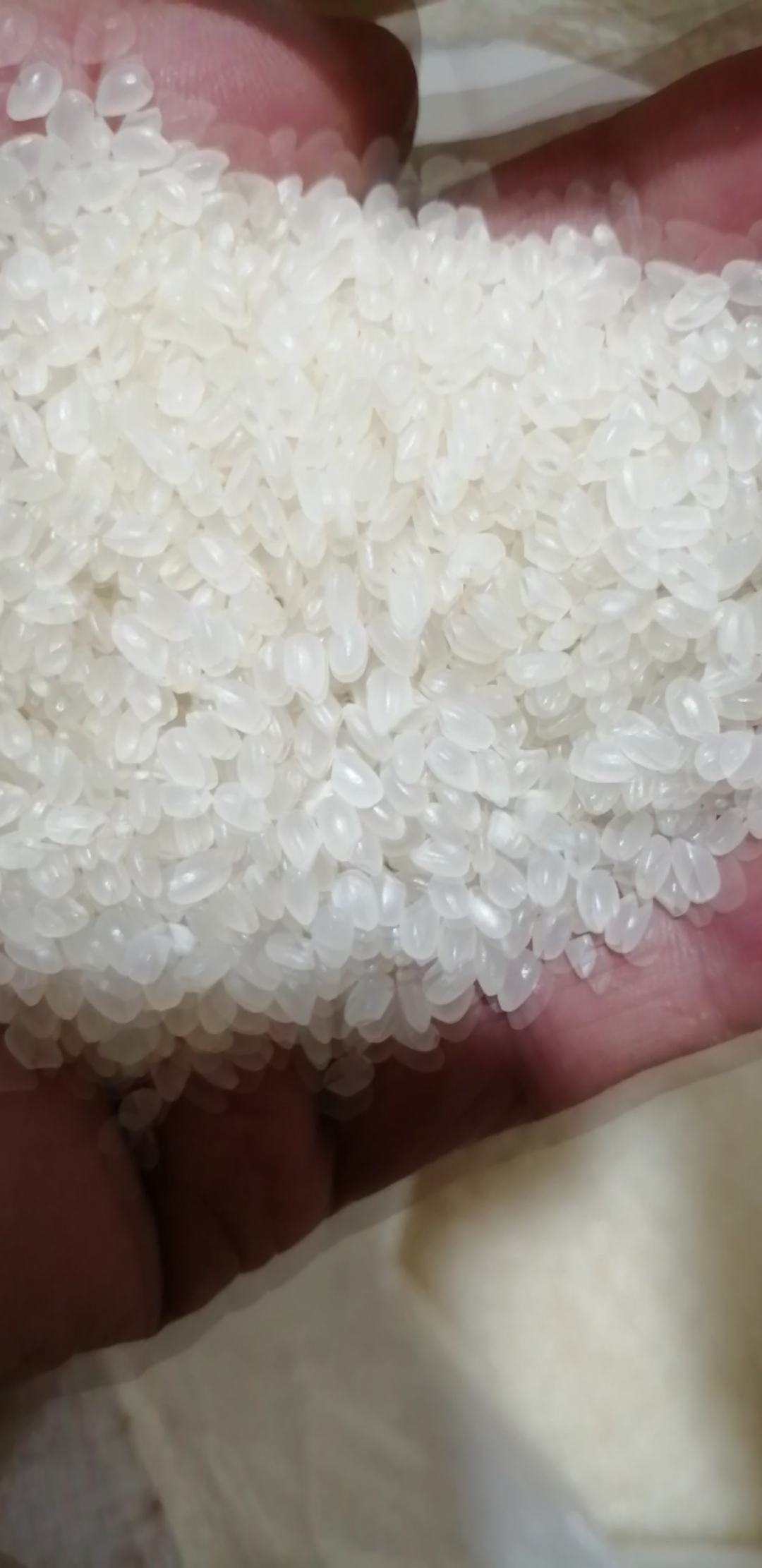 好吃的老爷岭大米～小粒香 米 晶莹剔透 闻 清香宜人 吃 劲道有韧性