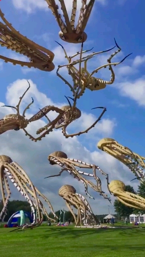 章鱼外形的风筝,第一眼以为是一群摄魂怪在天上飞,san值狂掉!