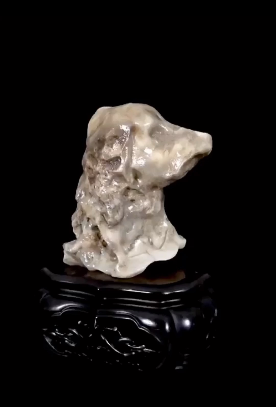 《十二生肖～狗首》阿拉善戈壁白沙漠漆#阿拉善戈壁奇石