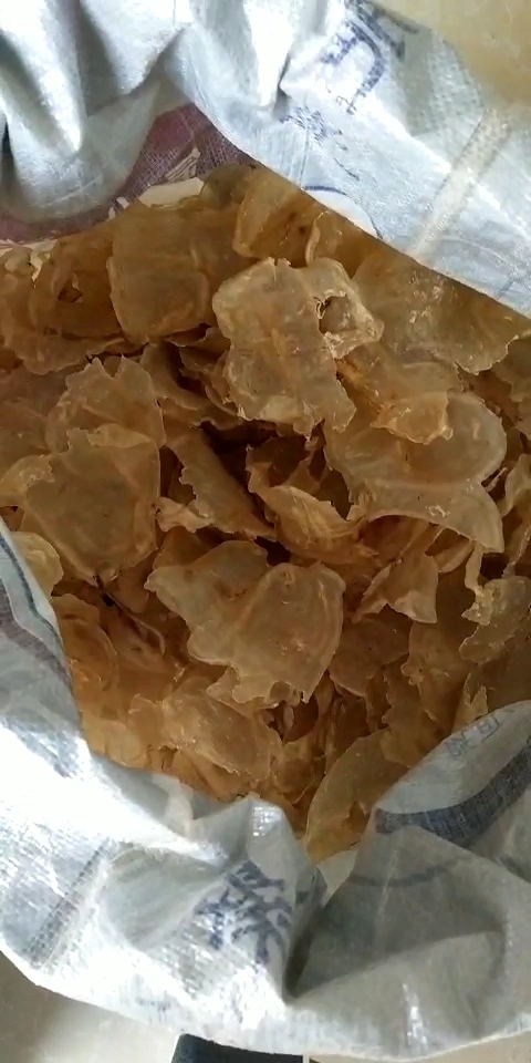 非洲安哥拉野生特产有没有认识的?