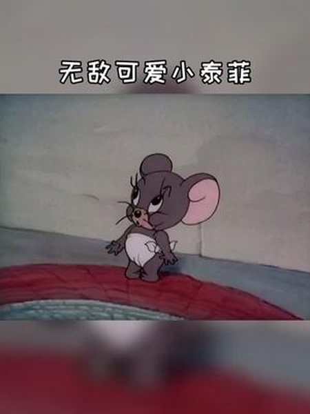 这么可爱的音乐怎么少得了小泰菲呢治愈猫和老鼠