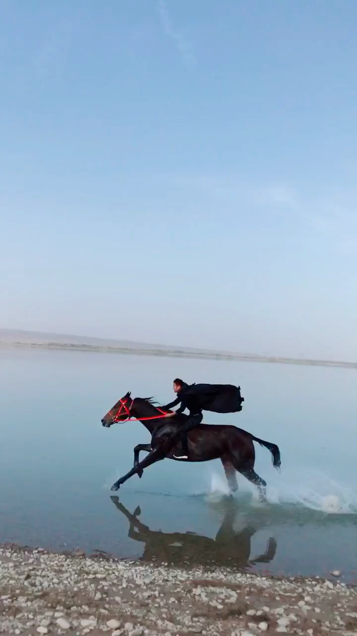 时速八十公里,飞一般的感觉