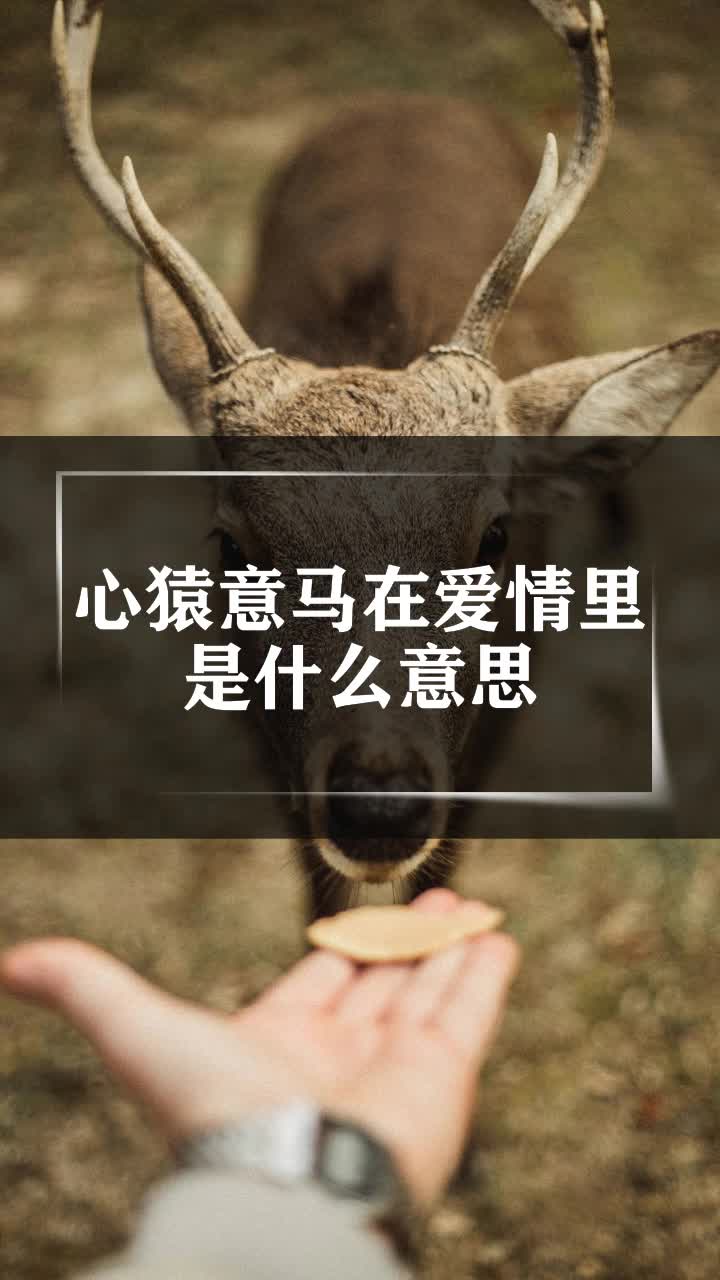 心猿意马在爱情里是什么意思