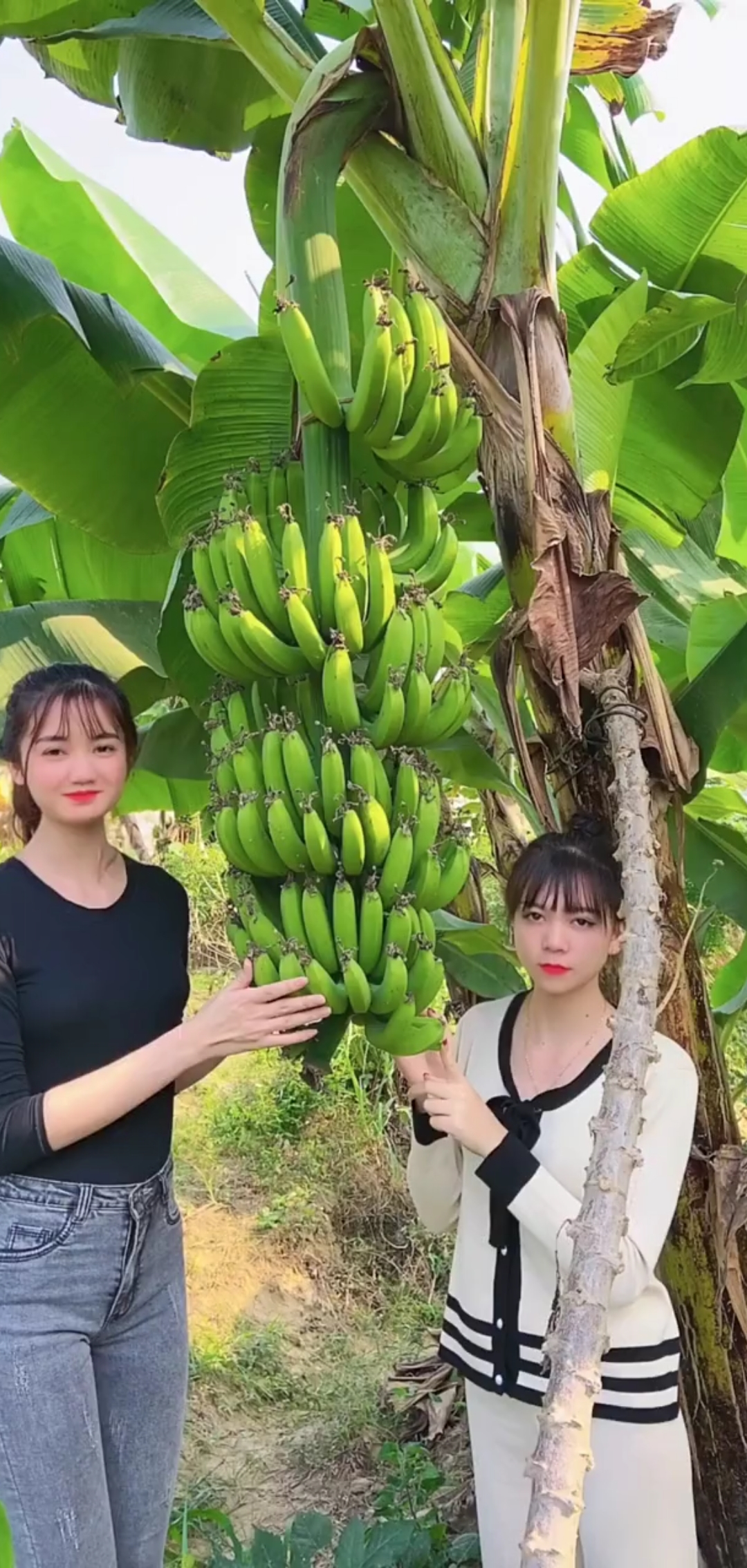 越南妹妹说香蕉很好吃