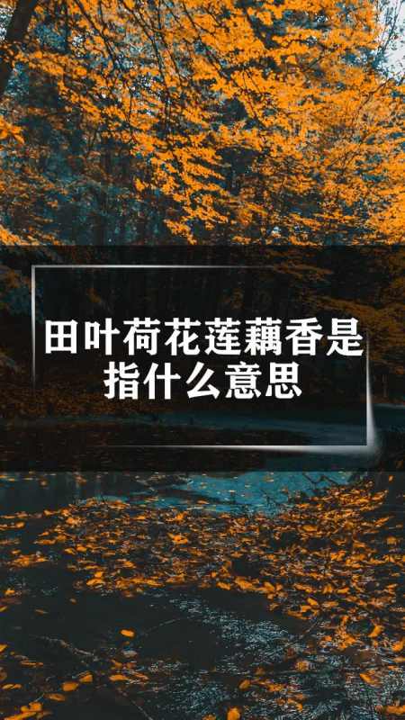 田叶荷花莲藕香是指什么意思
