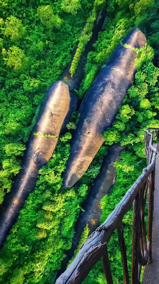 "三鲸岩"约7500万年前形成,形似三头鲸鱼,背负龙形图腾!