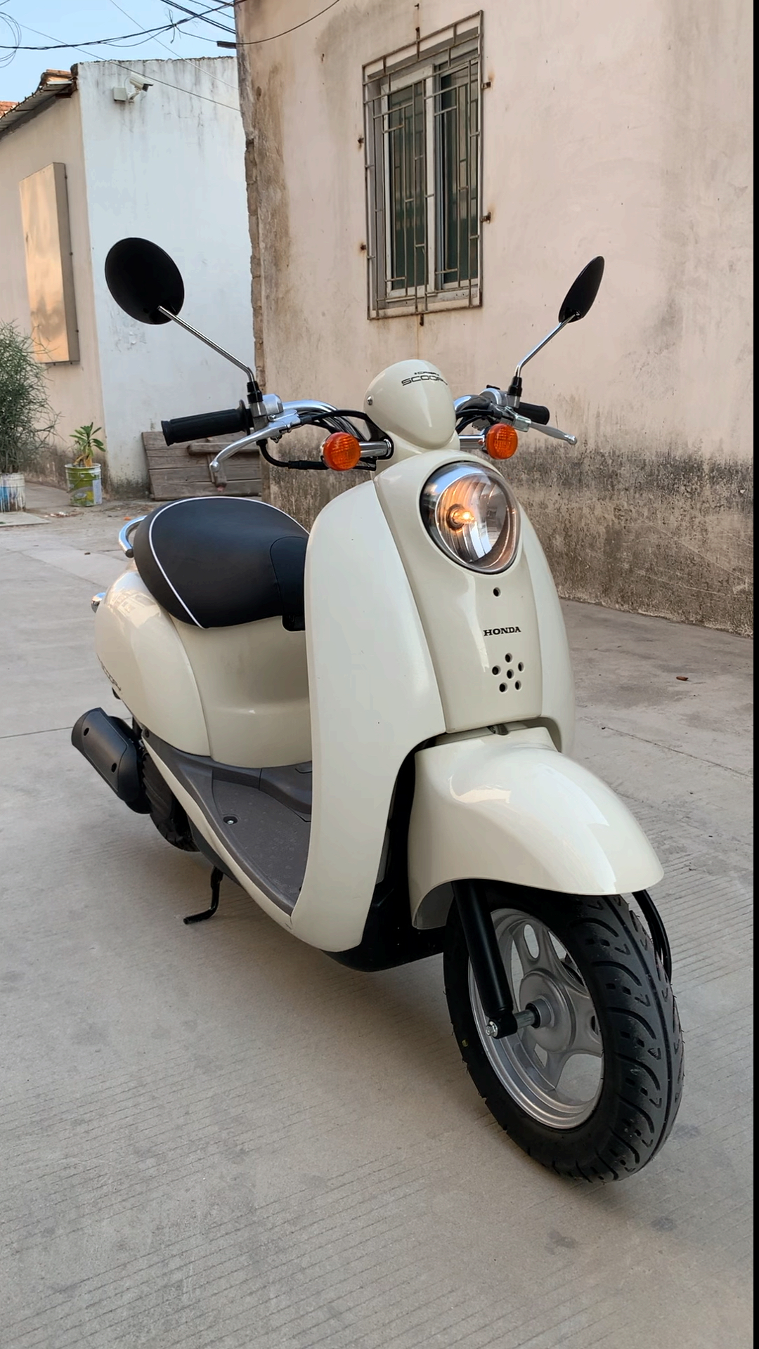 本田龟#本田小龟55期