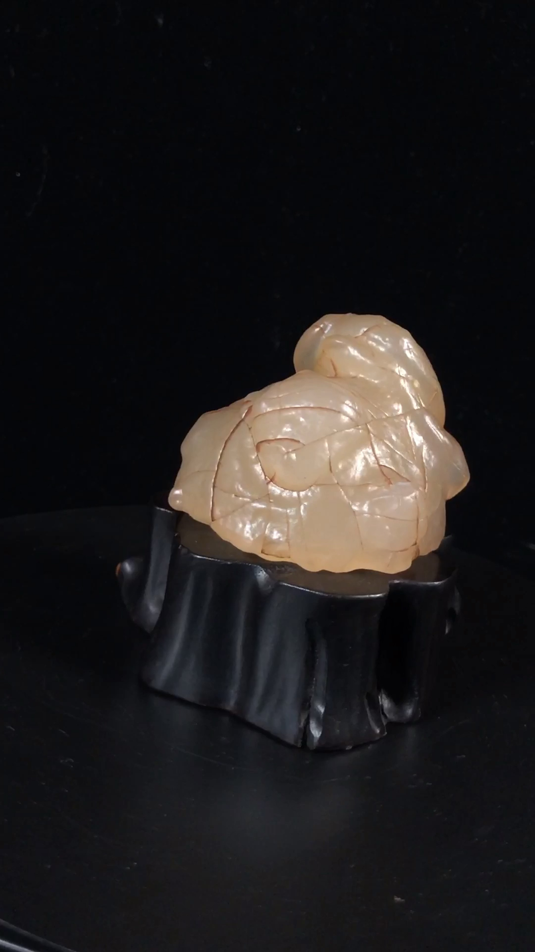 戈壁玛瑙象形石《鹦鹉出壳》#阿拉善戈壁石