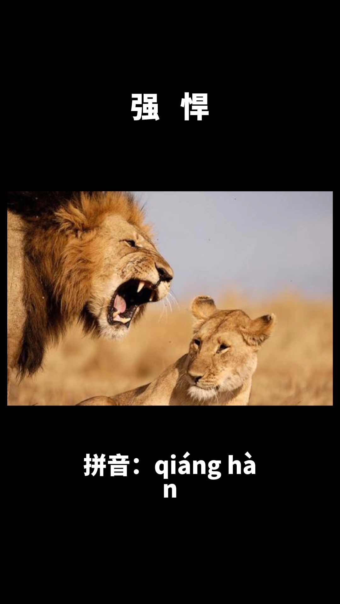 强悍是什么意思?