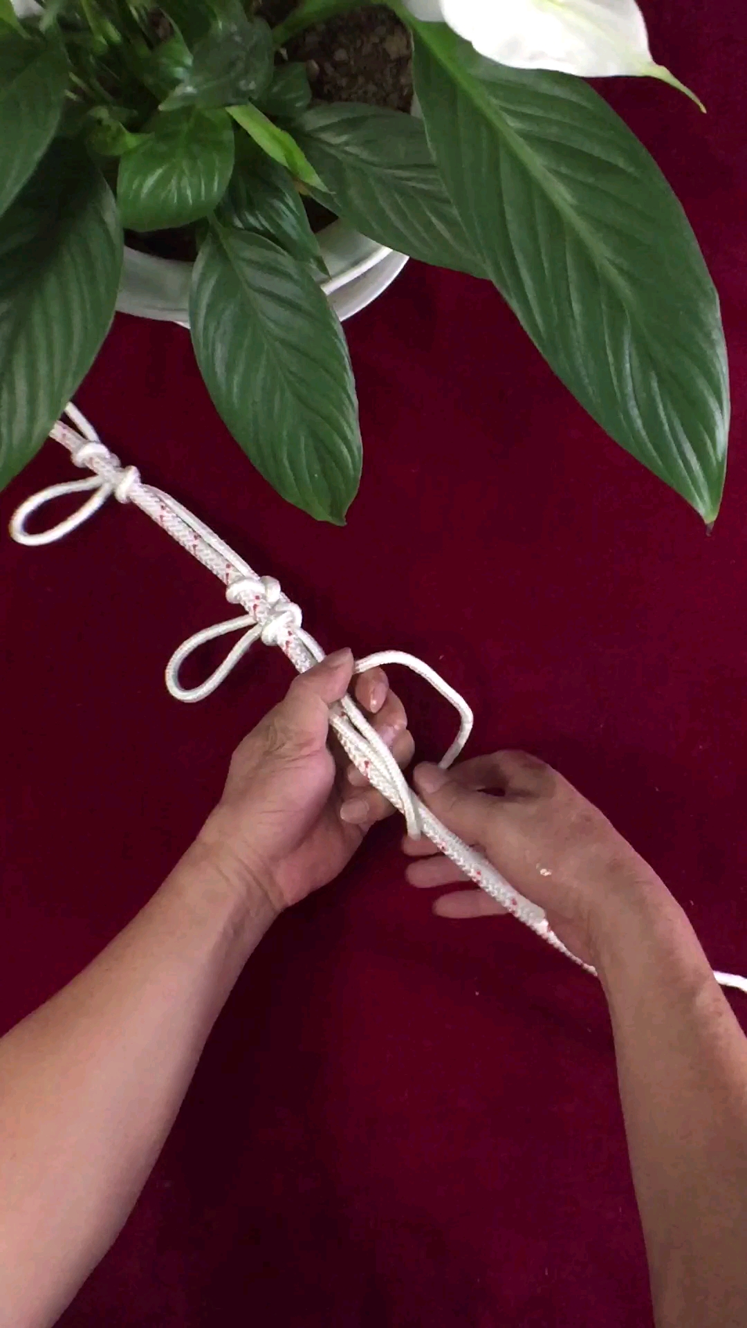 绳结艺术#防风晒衣挂钩结 再大的风都不会飞