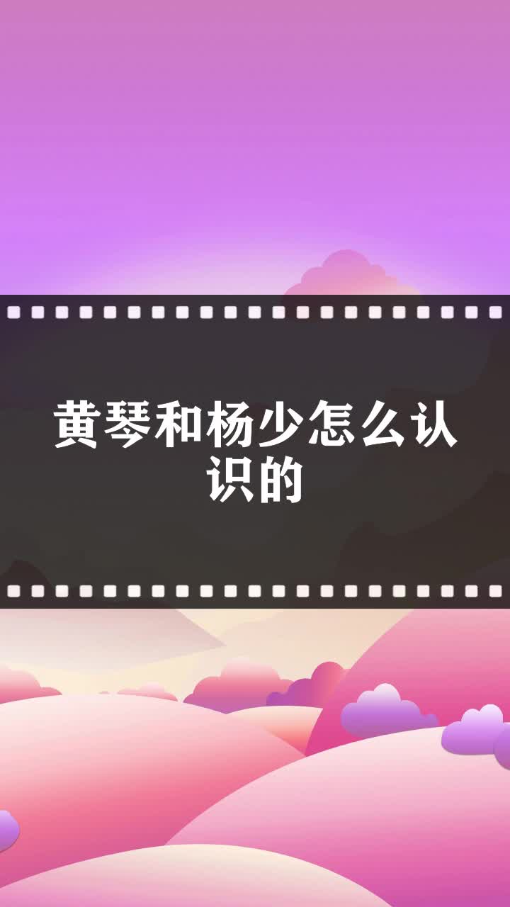 黄琴和杨少怎么认识的