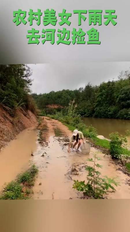 農村美女是真的聰明,下雨天來到河邊撿魚,一撿就是一麻袋