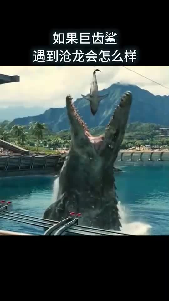如果巨齿鲨遇到沧龙会怎么样