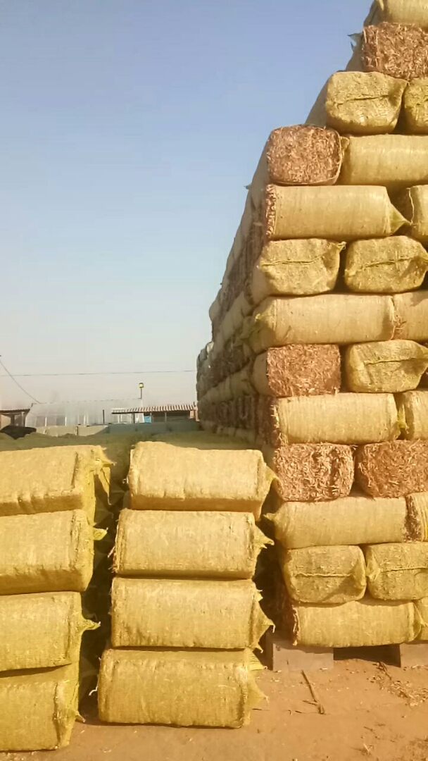 干玉米秸秆继续发货