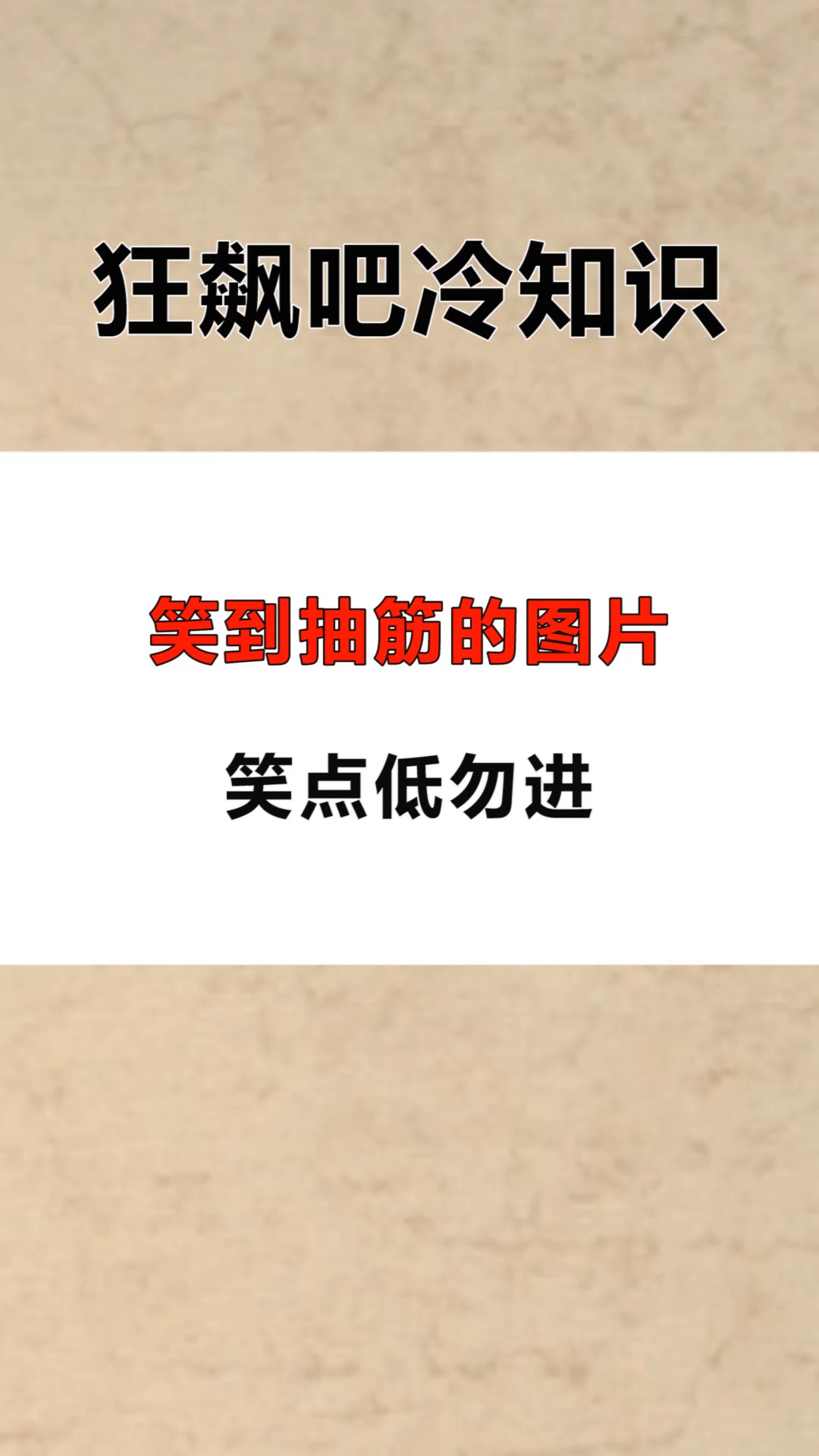 每天一点冷知识笑到抽筋的图片笑点低勿进