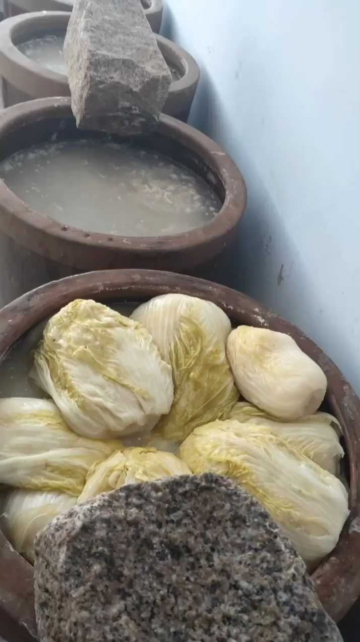 东北酸菜#东北人的最爱,大缸腌制酸菜,味道