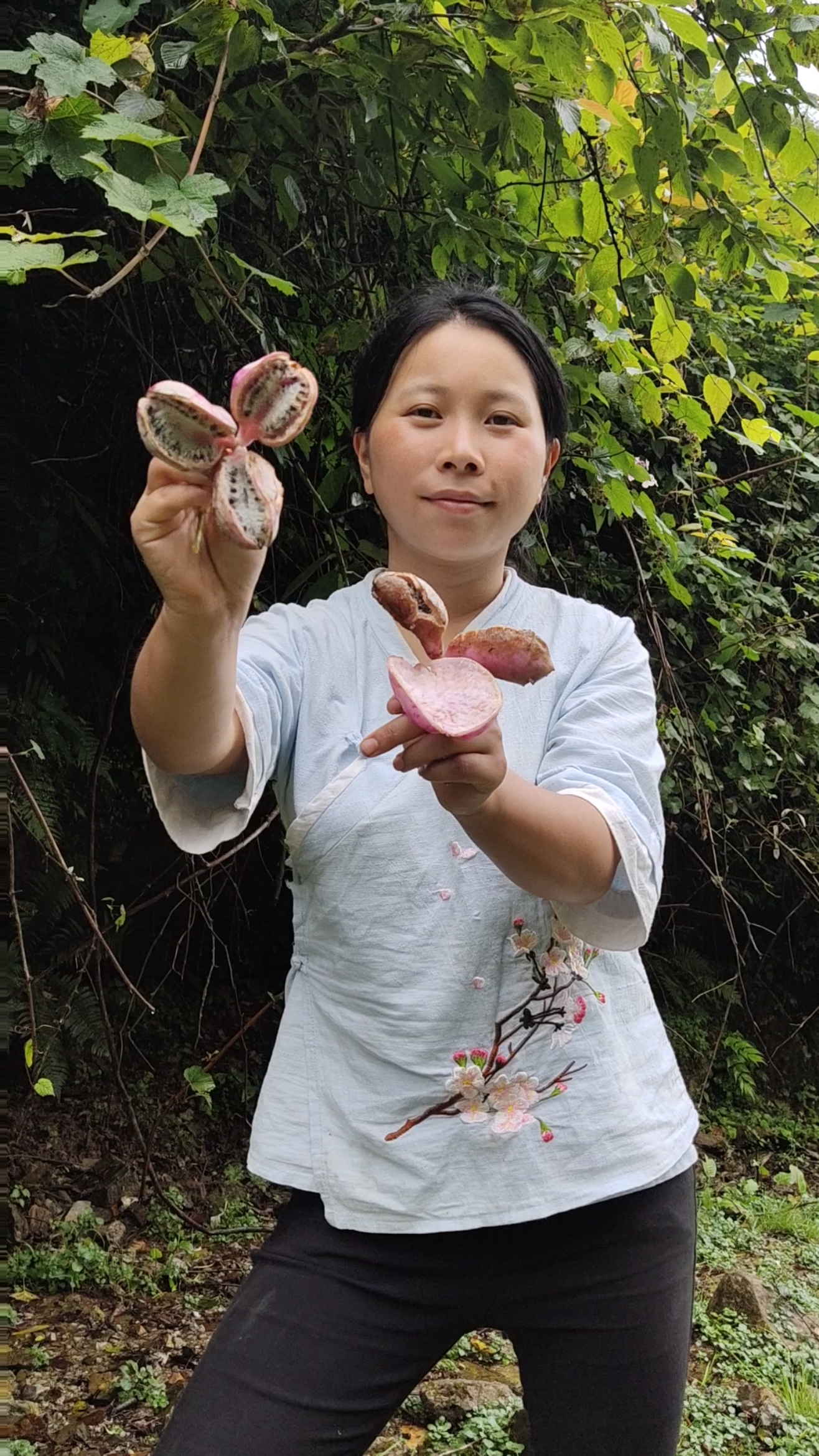 农村#非常罕见的野生七月瓜发财了-度小视