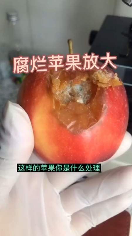 显微镜世界#腐烂的苹果放大