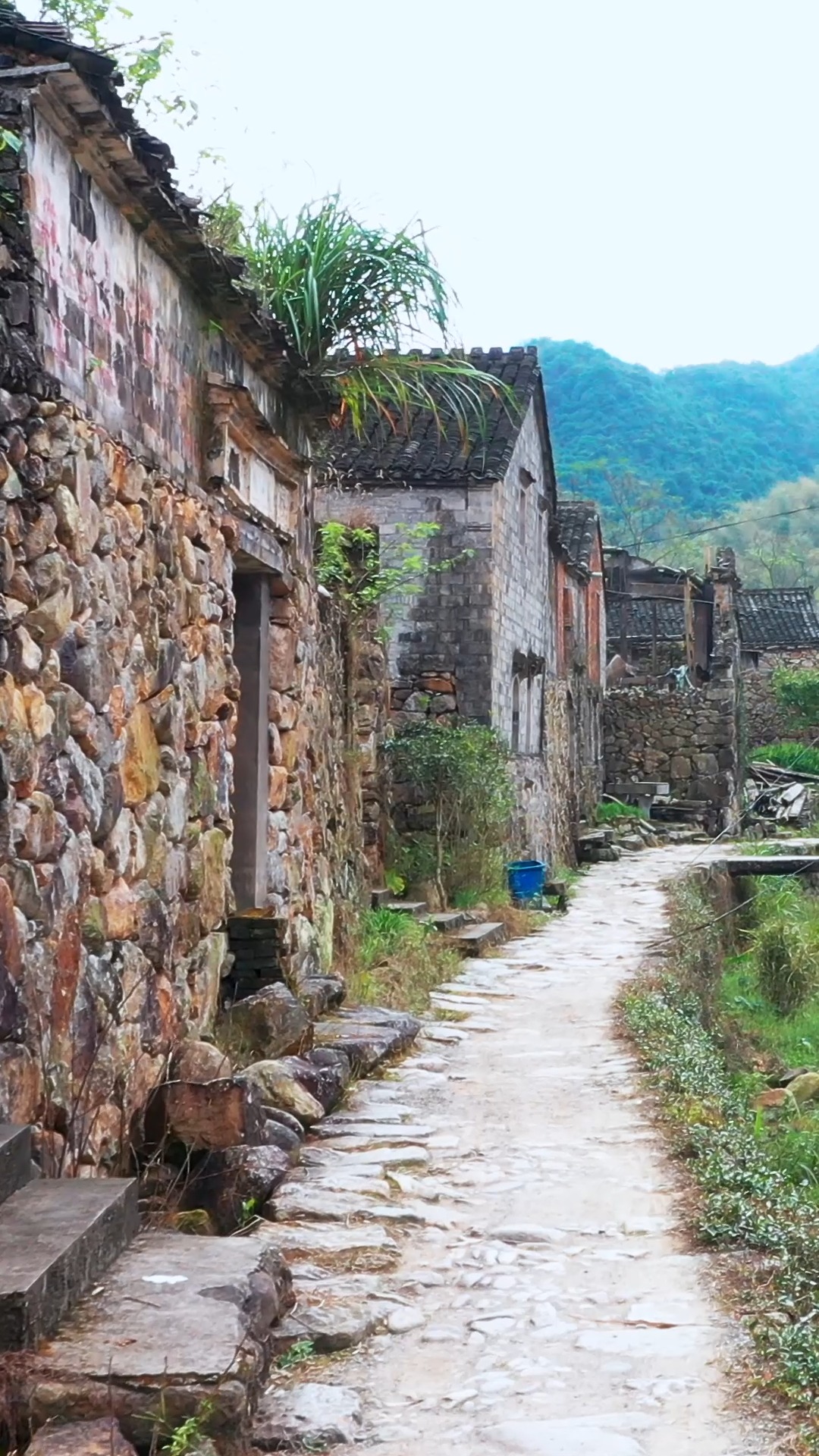 我要上热门浙江临海胜坑古村一个传统的古村落隐藏在深山深山竹林间