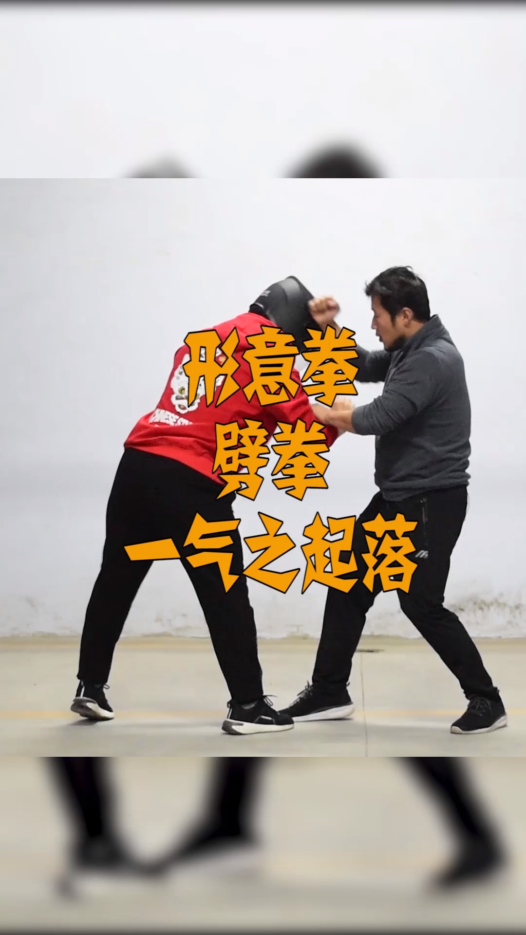 武术#形意拳劈拳,一气之起落