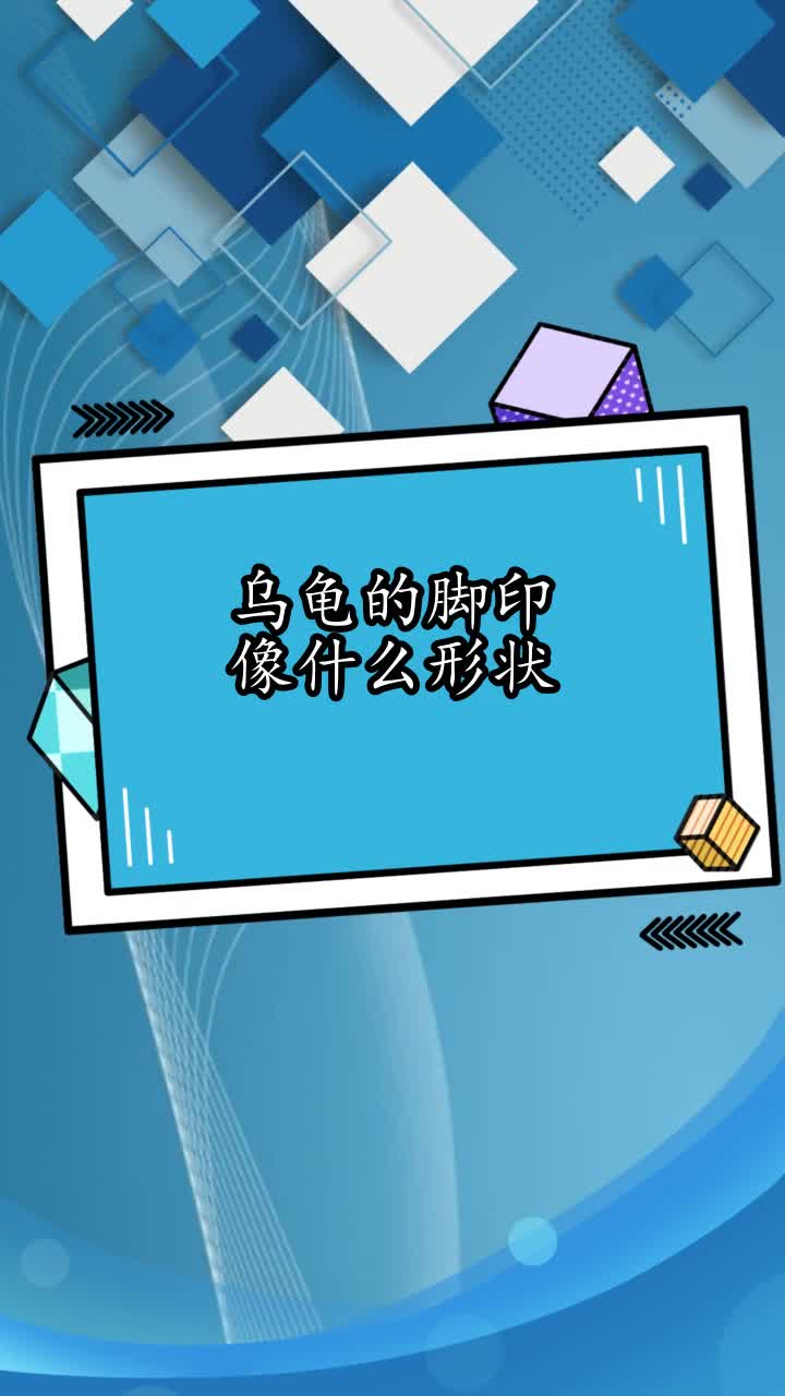 乌龟的脚印像什么形状,你理解了吗