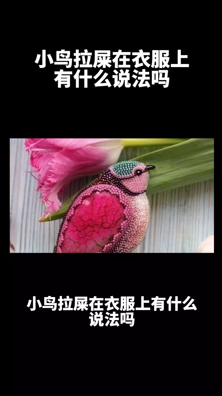 小鸟拉屎在衣服上有什么说法吗