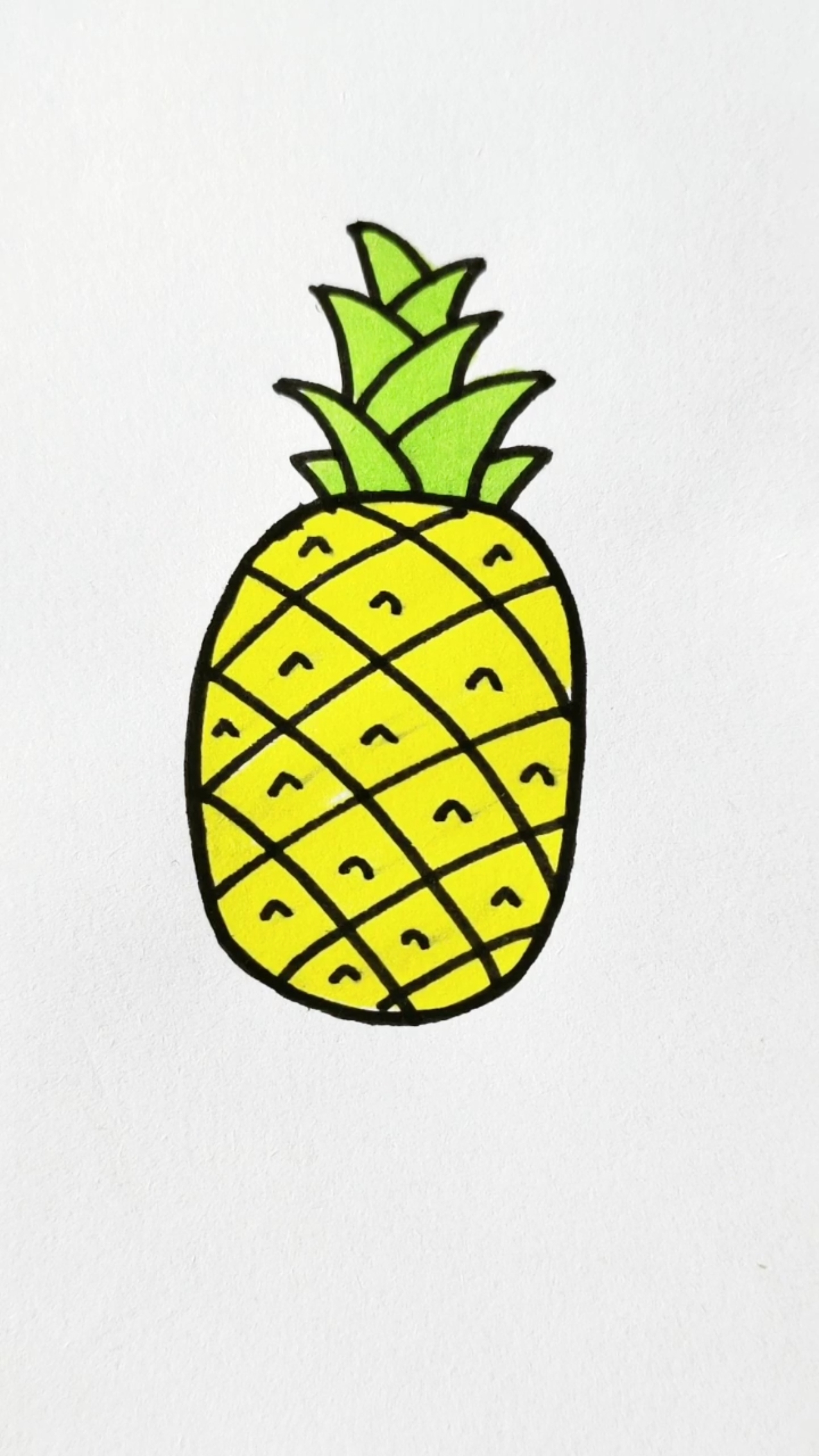 菠萝简笔画上色图片