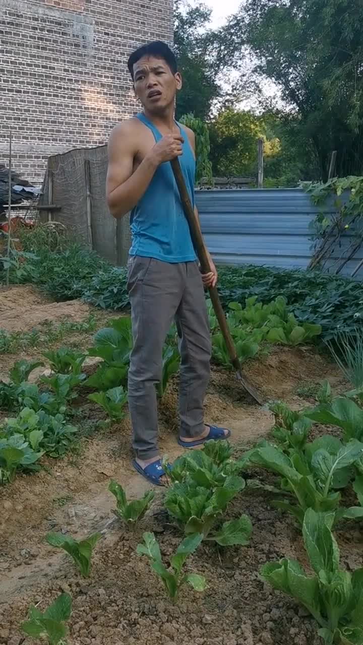 全村最靓的仔都上当了,我没别的意思就想试一下你家的杨桃@二哥(全村