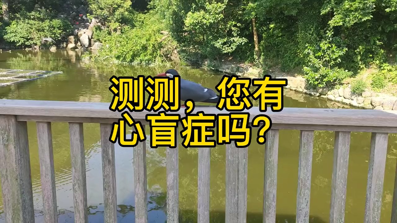 老哥们知道心盲症么测试一下吧人和人真的不一样