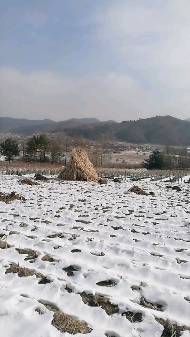 吉林省通化市龙头村