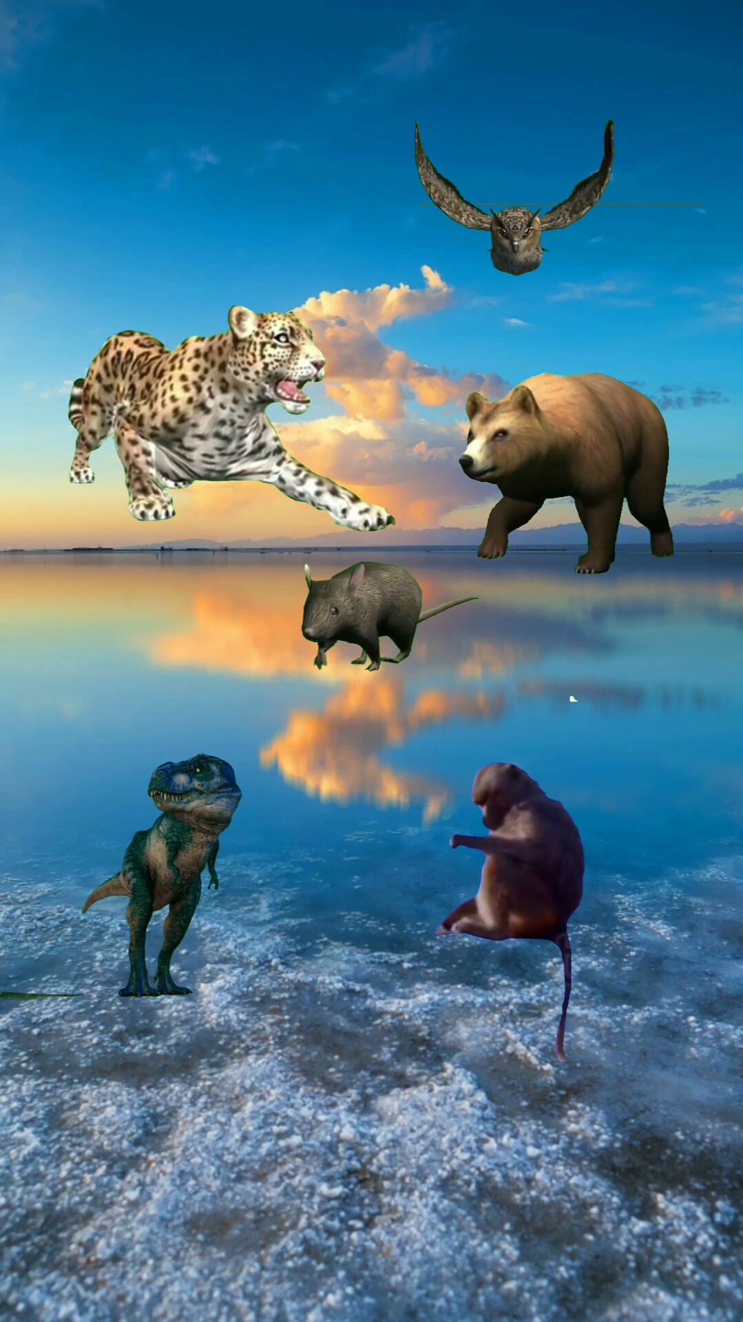 五毛特效#动物世界聚会