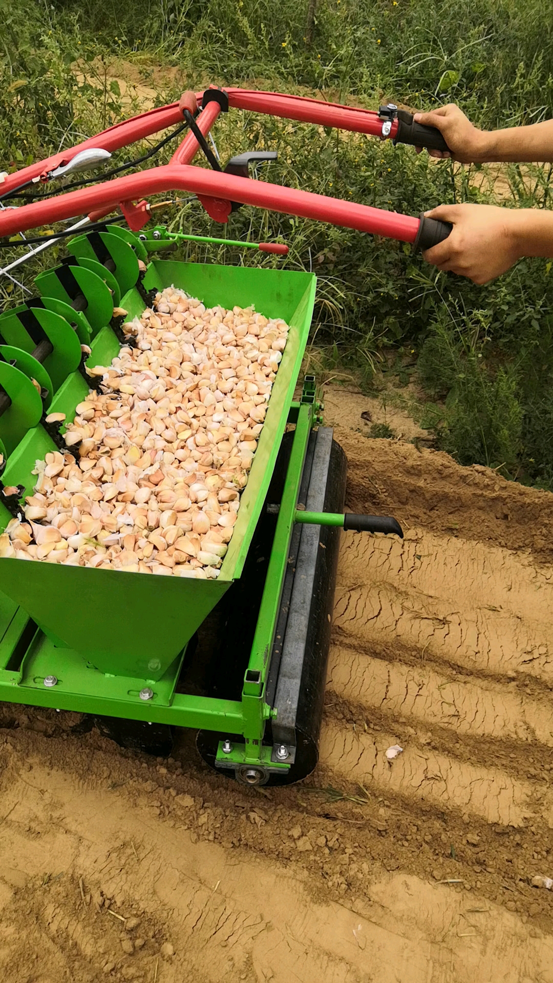 大蒜播种收获两用机,代替人工种蒜省时省力省人工.