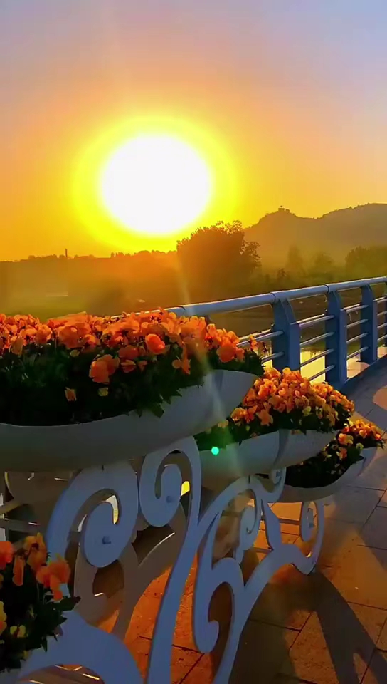 趁阳光正好,趁花还未谢,放飞心情,充分吸氧