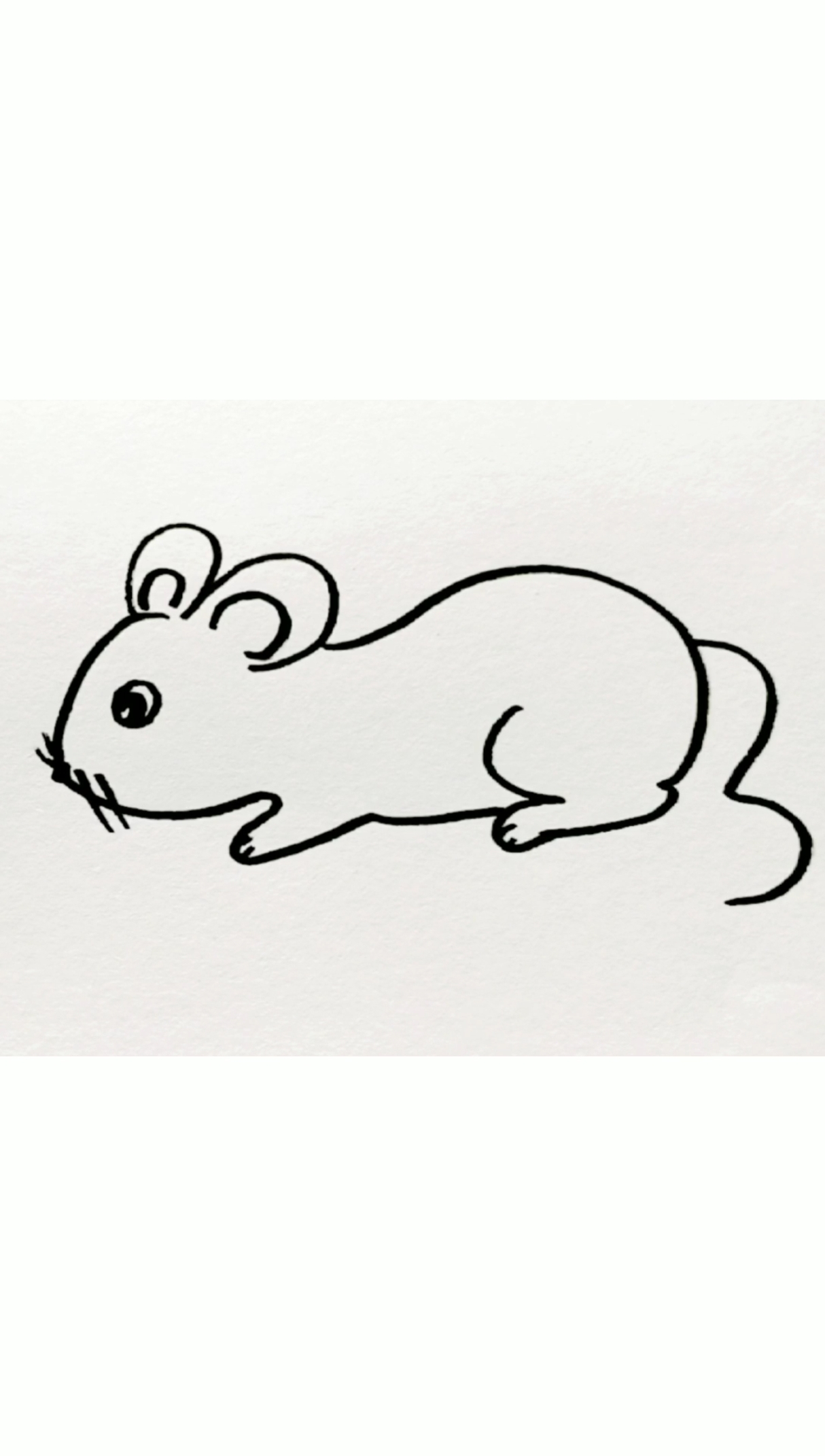 简笔画#简单的老鼠简笔画