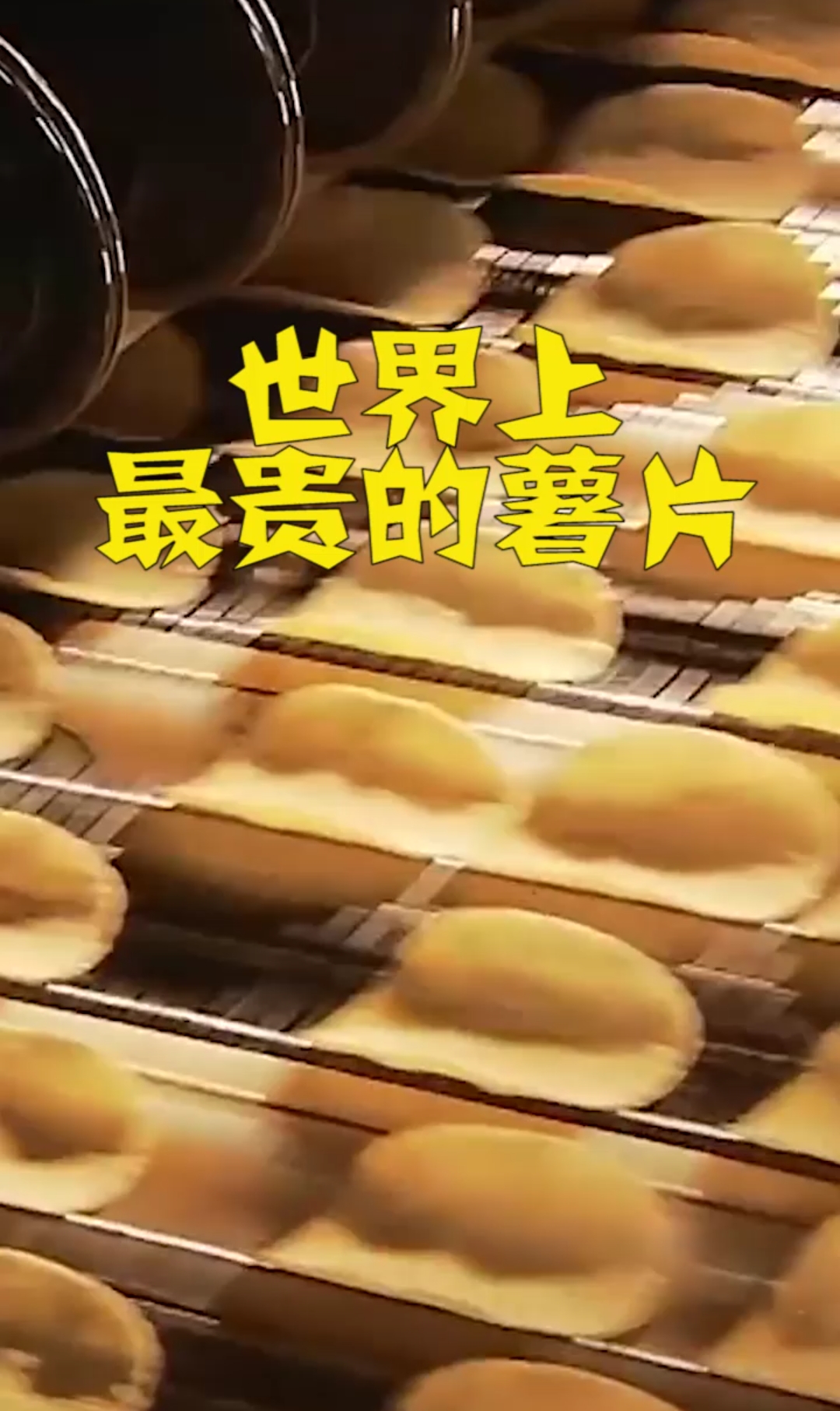 世界上最贵的薯片