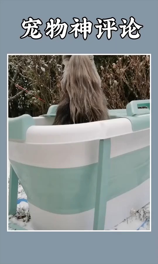 搞笑视频#传说中的背影杀手