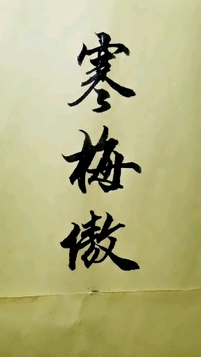 全民书法秀#寒梅傲雪行楷写法!