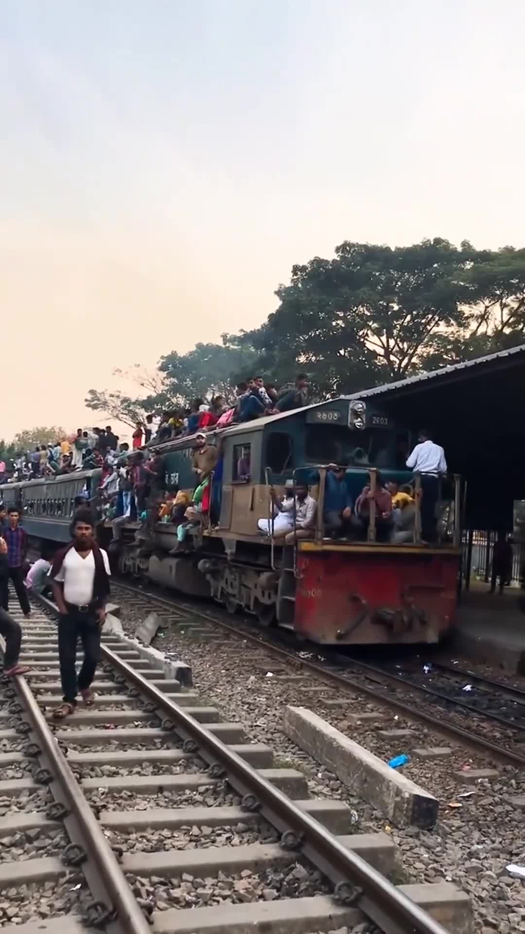 印度大哥能和火车赛跑!看到这一幕,谁还说印度人体育不行?1619