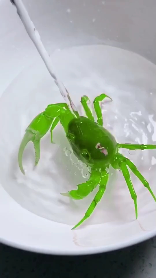 绿油油的大闸蟹