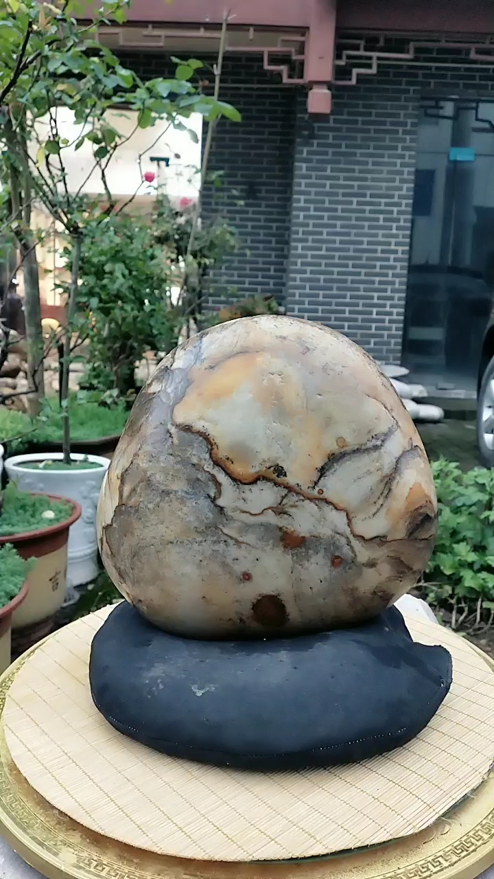 长江碳化石赏析