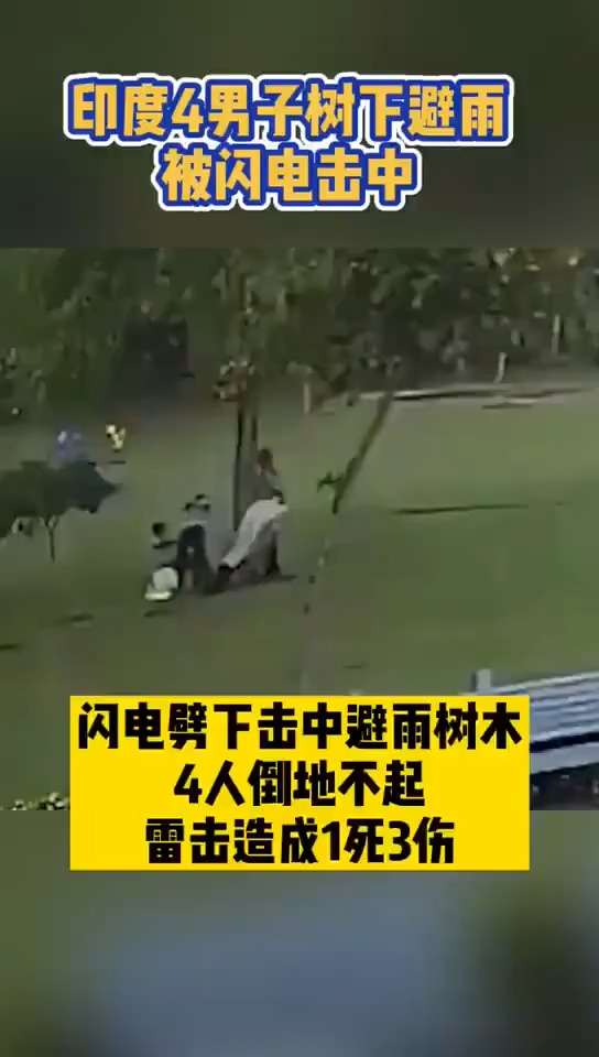 印度4男子树下避雨被闪电击中   提醒:春夏雷雨多发,切勿在树下避雨!
